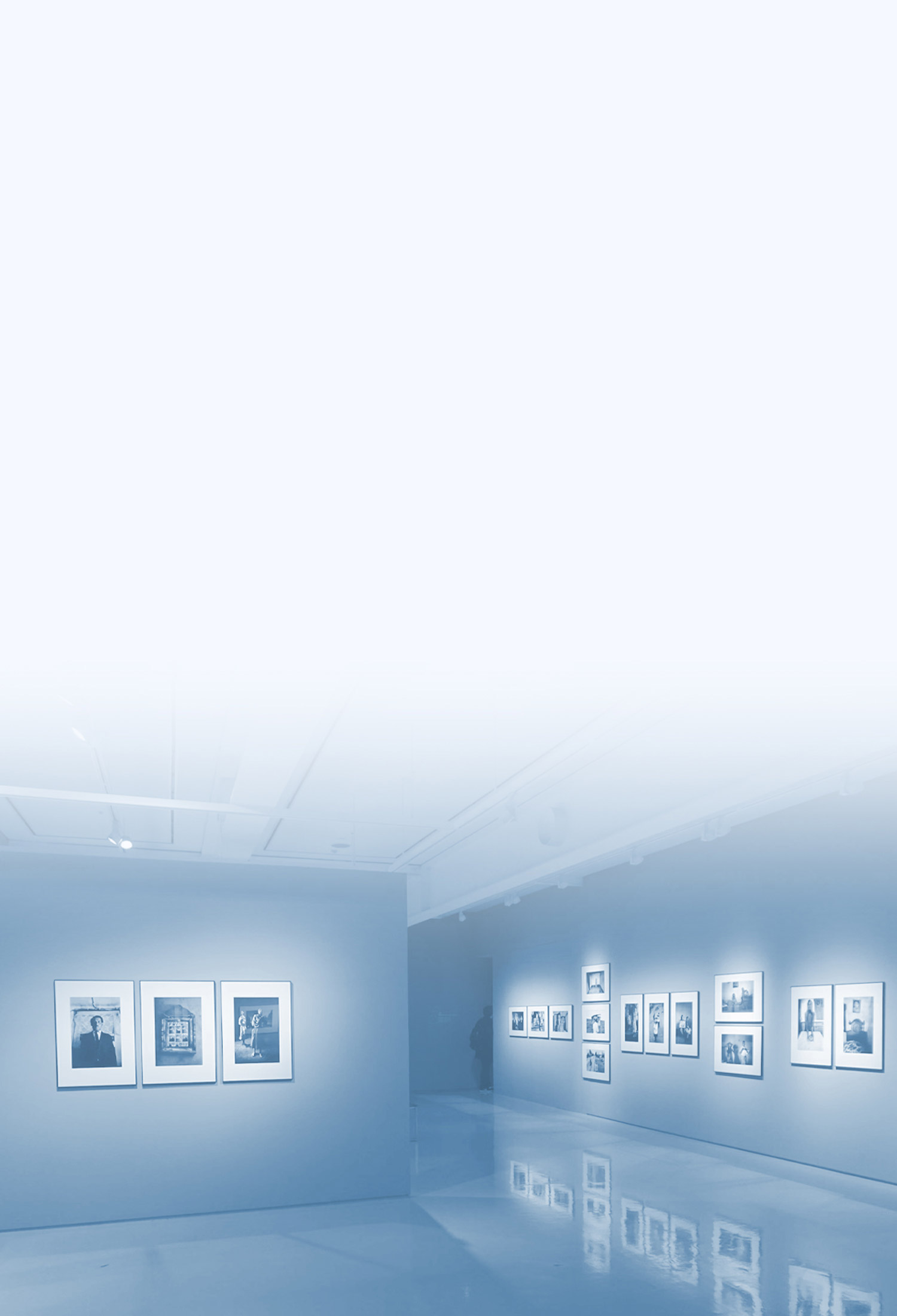 Exhibition Halls Solution